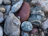 Dunkelroter Stein umgeben von unterschiedlich grauen Steinen